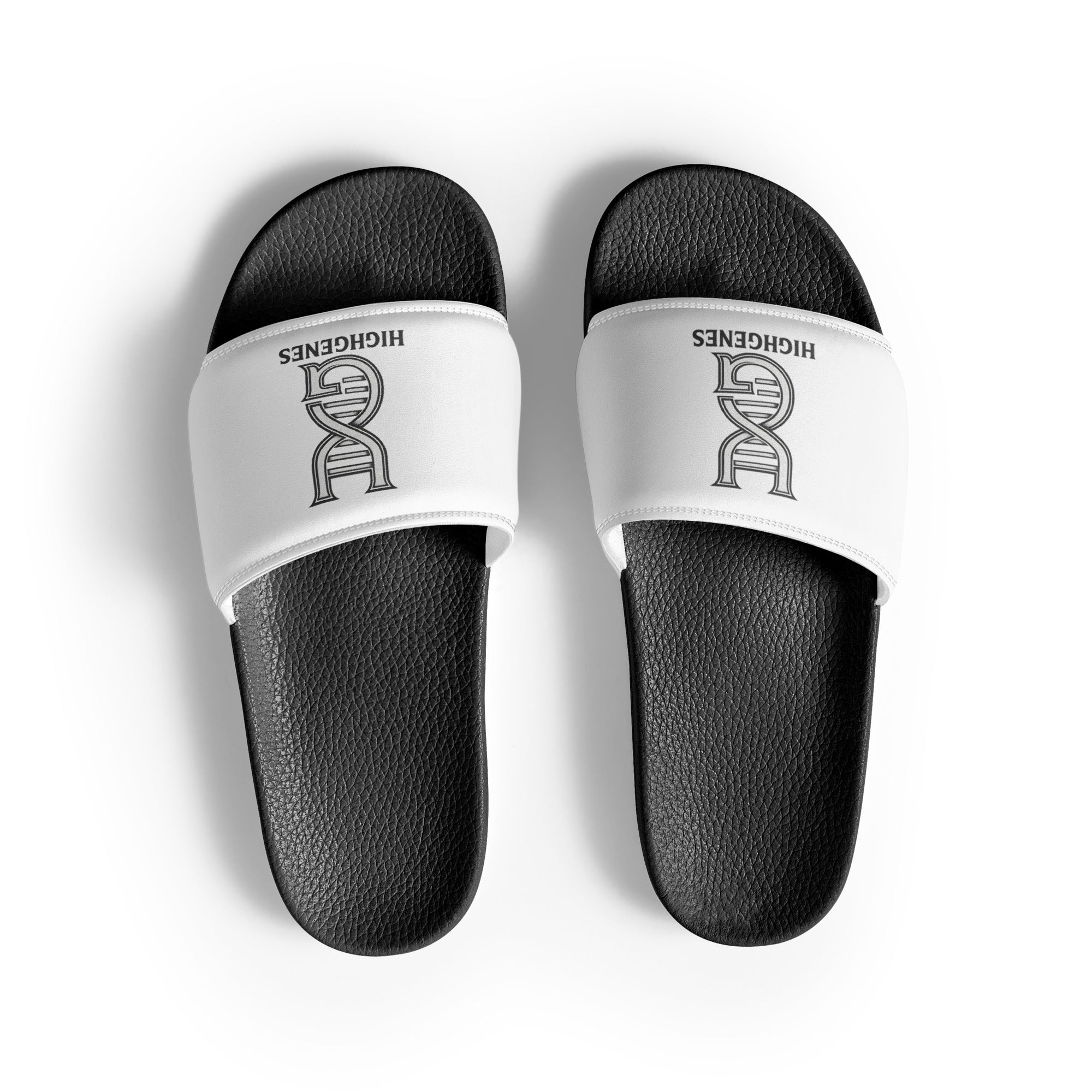 Helix Logo Slides